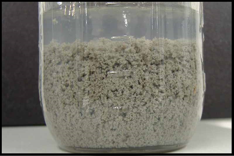 Lone Star Sodium Bentonite and barite