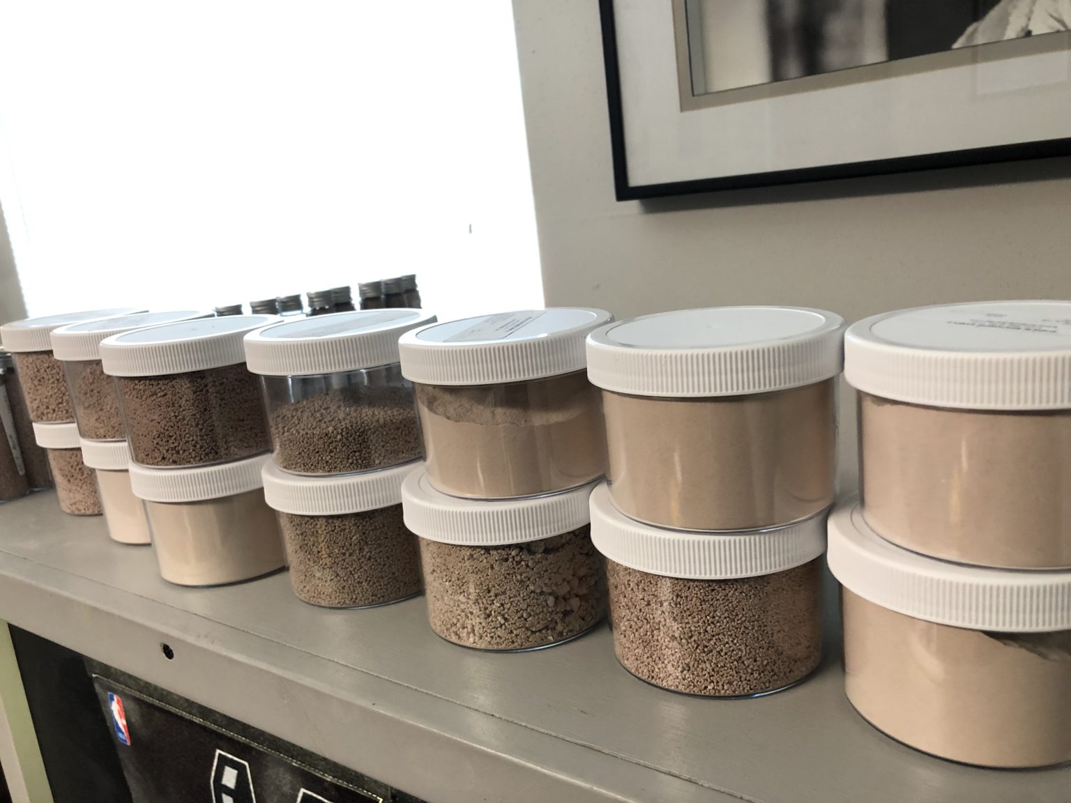 Wholesale Cat Litter Supplying The Best Kitty Litter