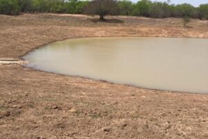 Bentonite Clay for ponds near Oklahoma