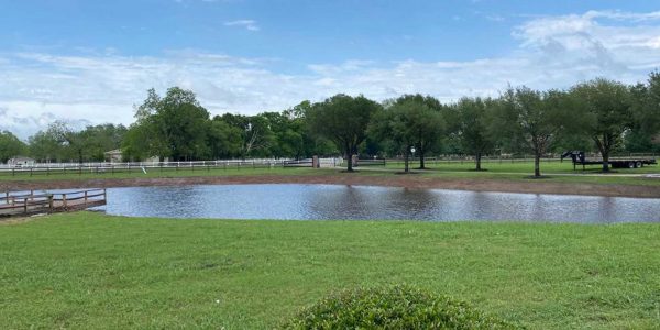 How to fix a leaking pond with Bentonite - Quick and Easy