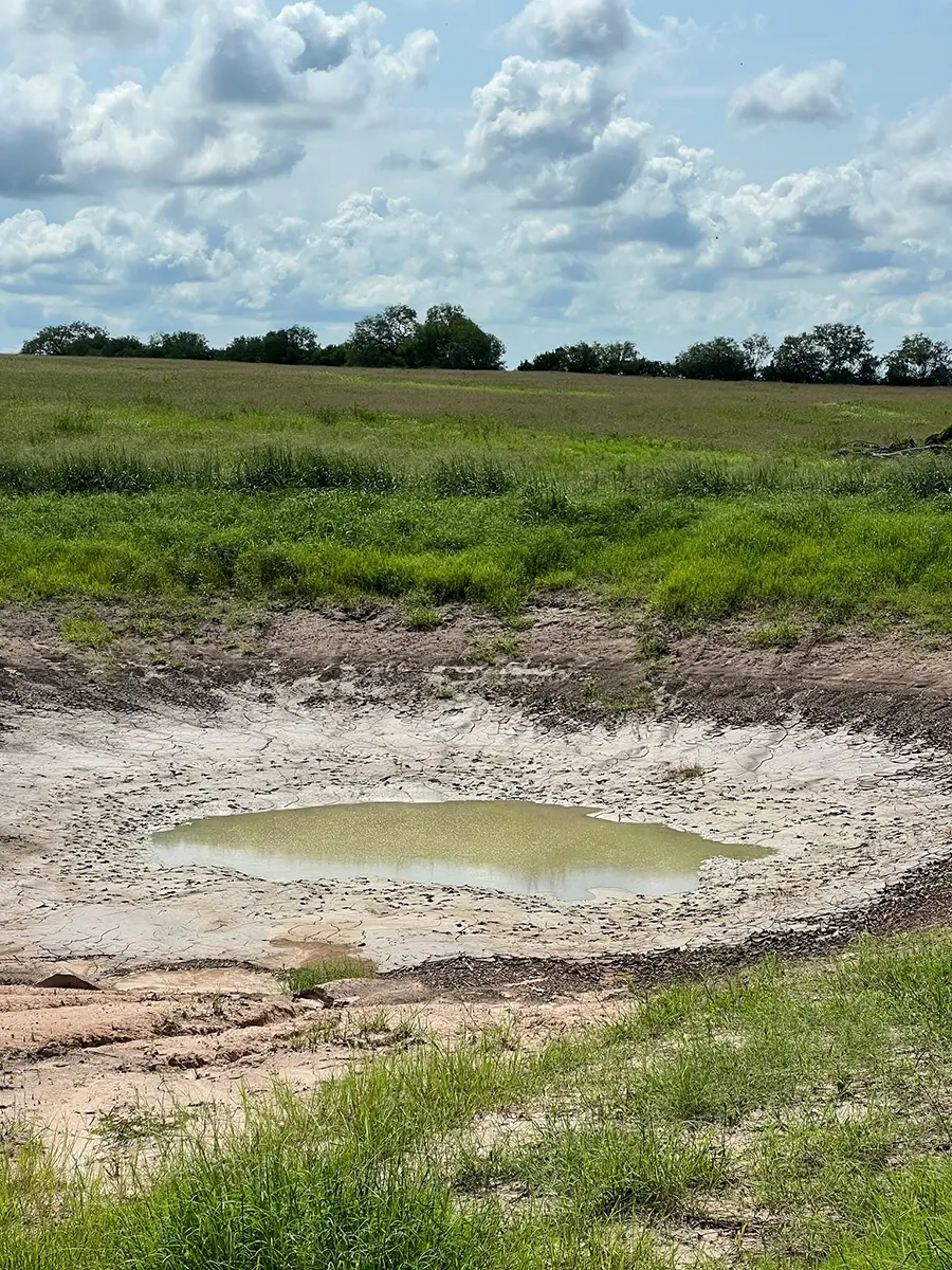 The most common mistake when using bentonite for ponds
