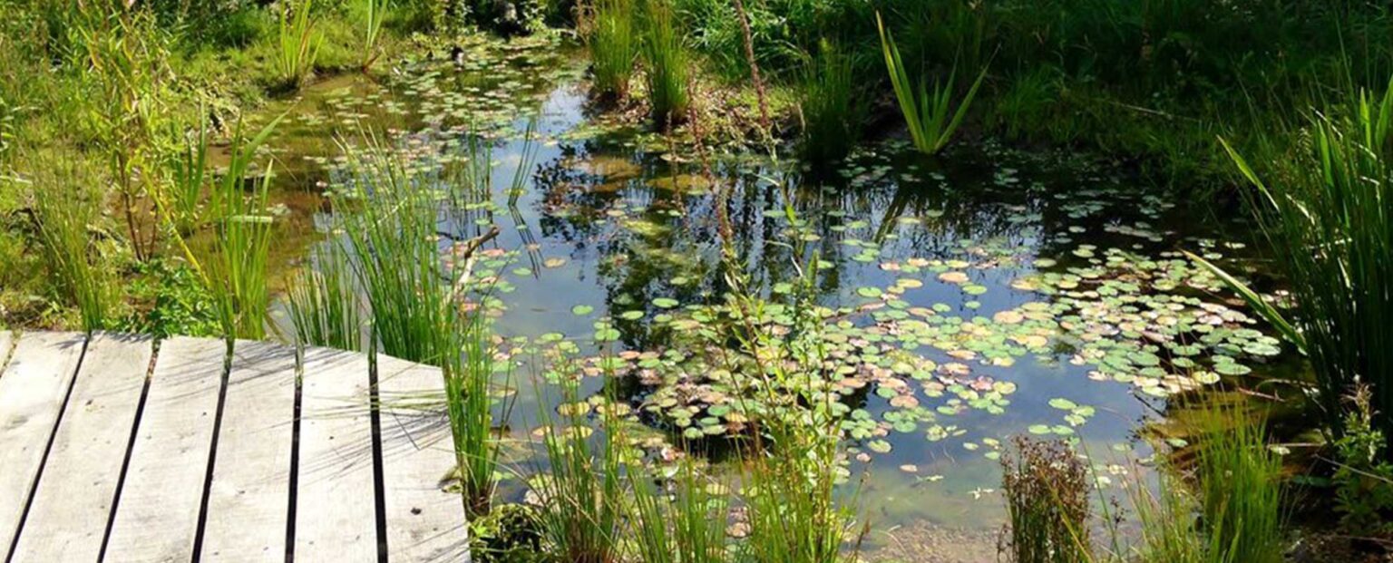 Bentonite for Ponds Lonestar Minerals