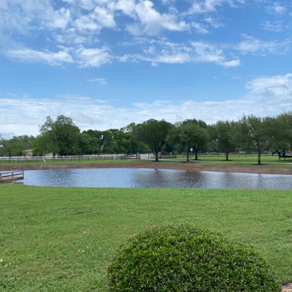 Residential Pond in Texas