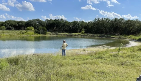 Home Pond repaired with sodium bentonite for ponds