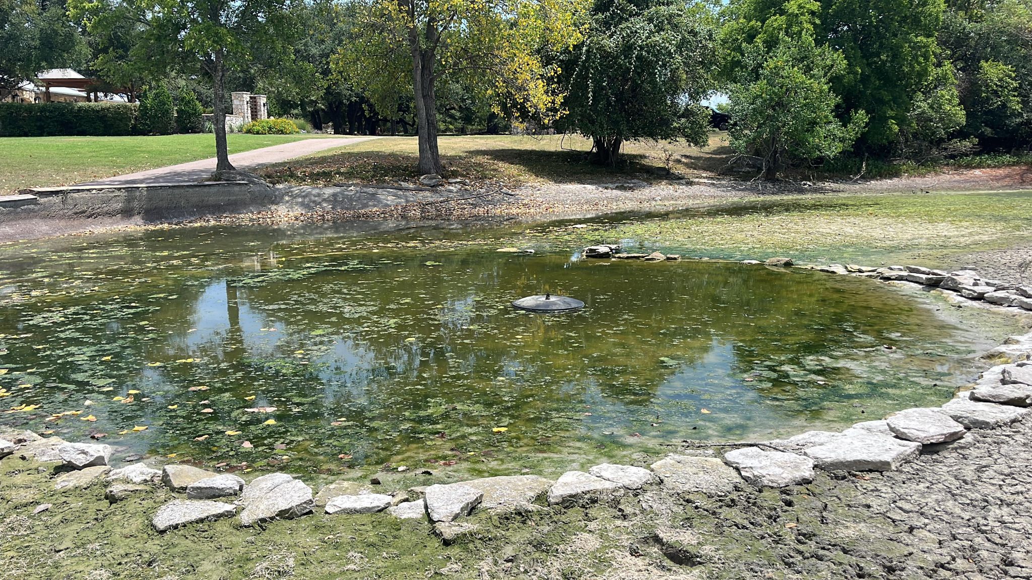 Farm pond in Texas Farm Pond sealed with Bentonite