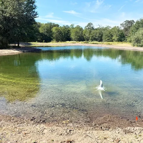 wildlife pond