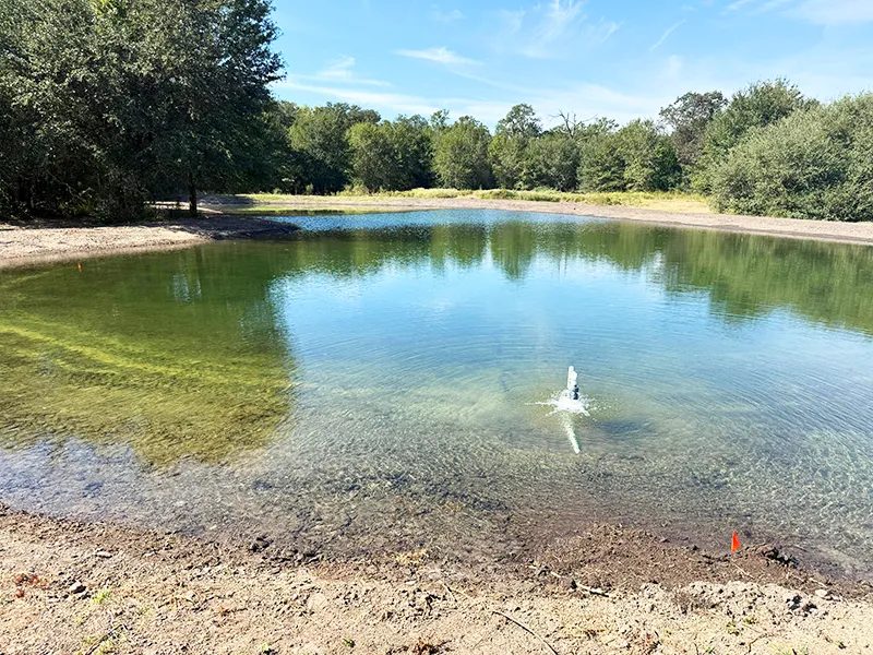wildlife-pond wildlife pond